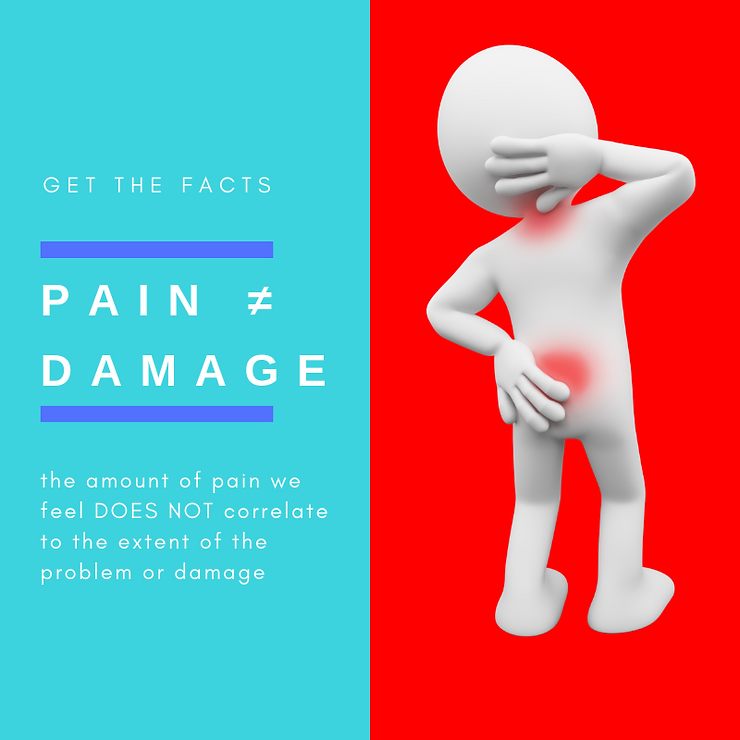 Pain / Damage